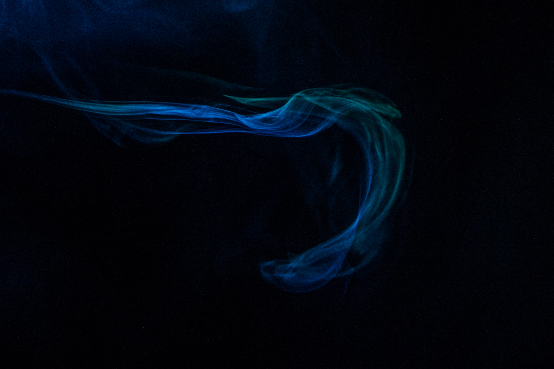 L' Oeil Noir Photographie